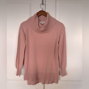 Ann Taylor Loft sweater